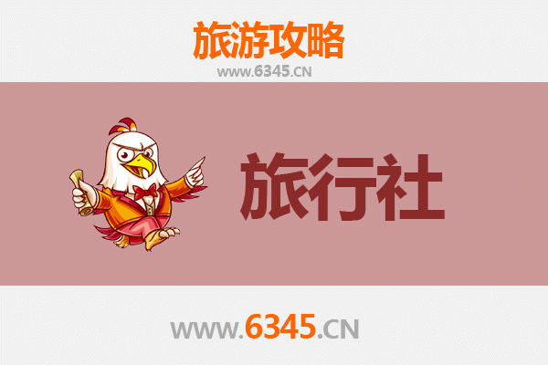澳门本地旅行社精选推荐与深度游玩攻略